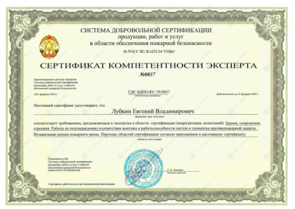 Сертификат компетентности эксперта — Лубкин Е.В.